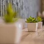 Myflat Club 218 Golden Wellness Apartman Siófok