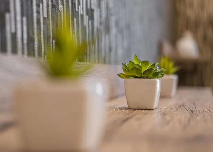 Myflat Club 218 Golden Wellness Appartement Siófok